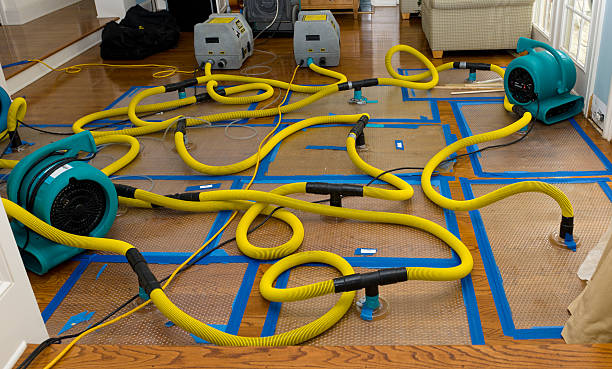 Professional Basement Flood Cleanup technician working in Montara, CA